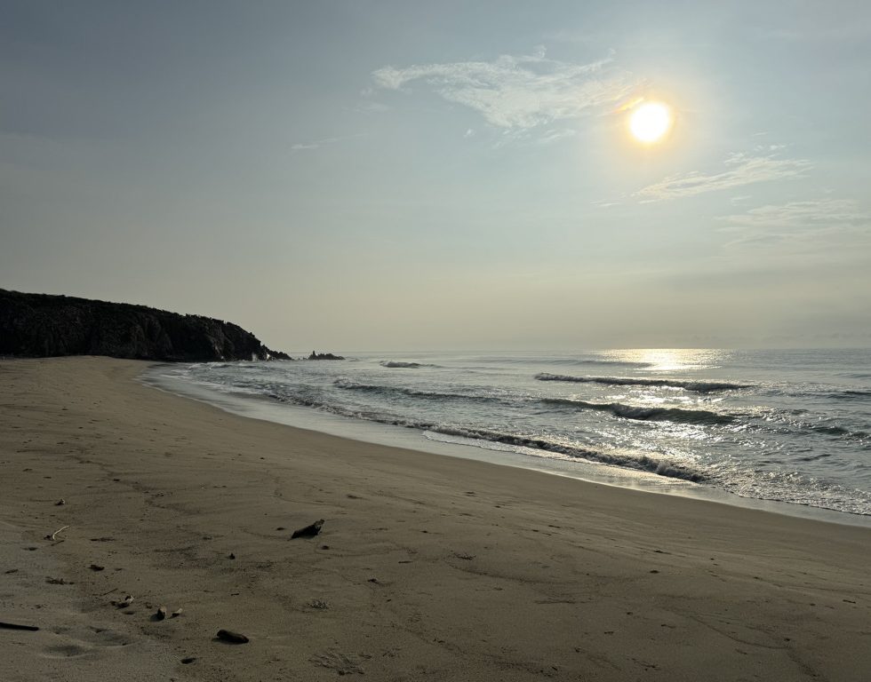 Playa Las Garzas Beach