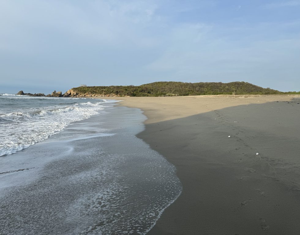 Playa Las Garzas Beach